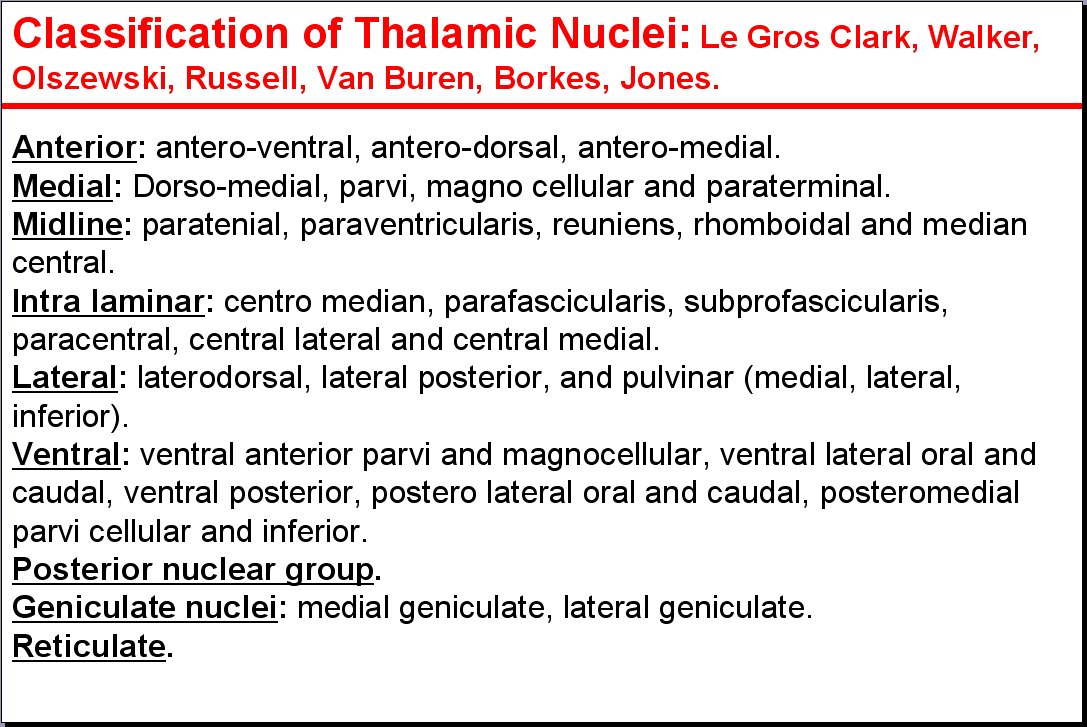 Salamons Neuroanatomy And Neurovasculature Web Atlas Resource